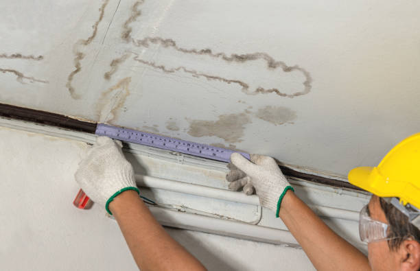 Reliable Mold Remediation contractor in Upton, MA by Water Damage Irwin